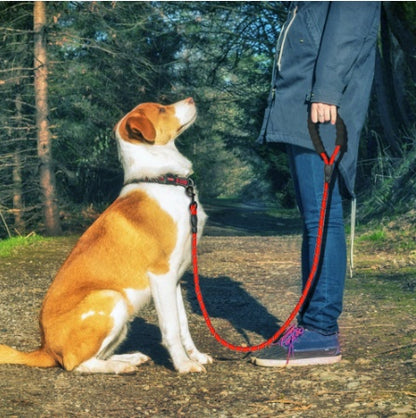 Reflective Dog Leash Nylon Pet Dog Leash Rope For Small Medium Large Dogs.
