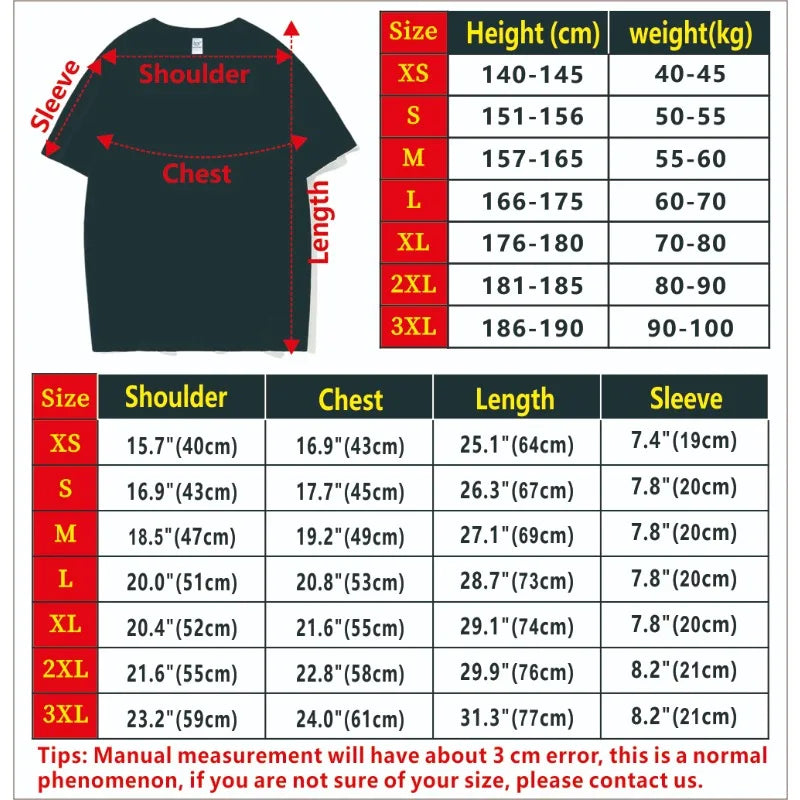 Vintage Santa Gnome Christmas T-Shirt: Xmas Family Tee  Harajuku Y2k Top Shirts for Women Seagull Christmas Shirts Cotton Tees